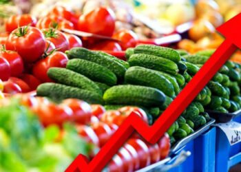 Inflation Pressure Returns: Producer Inflation Creeps to 3.2% as Businesses Battle Rising Input Costs