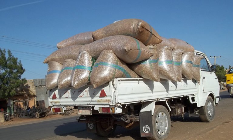 Economy Bleeds: GH¢300m Worth of Goods Smuggled Monthly - FABAG 3 GMPs for Transportation 768x462 1