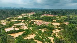 We are Delivering Results: Beatrice Annan Slams NPP’s Galamsey Criticism 2 Galamsey