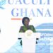H.E. Professor Naana Jane Opoku Agyemang, Vice President of the Republic of Ghana