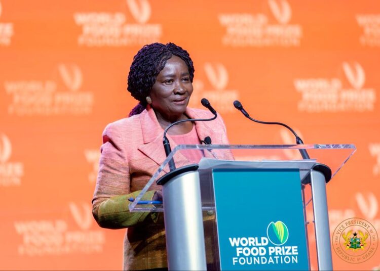 H.E. Naana Jane Opoku Agyemang, Vice President of the Republic