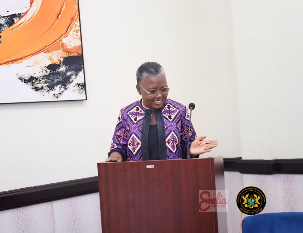 Cabinet Approves Ghana’s First-Ever Marine Protection Area 3 Hon. Emelia 3