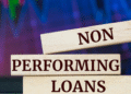 NPLs for newsletter LCXA8HnyAtegqlrk8na6DPZxbPY 147900 1