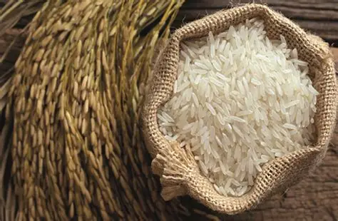 NAFCO crippled as Rice Glut Threatens Farmers
