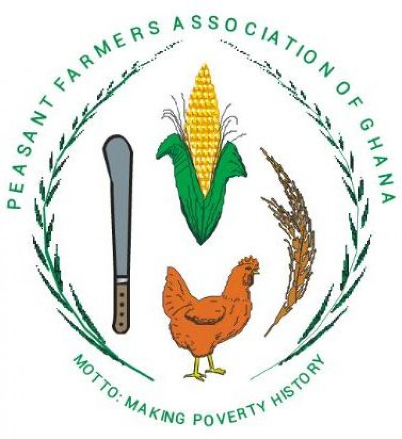 NAFCO crippled as Rice Glut Threatens Farmers 2 Peasant farmers