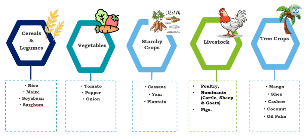MoFA Boosts School Farm Production With 25,000 Fertilizer Bags 3 Screenshot 2025 10 22 051049