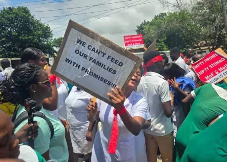 Unpaid Nurses protesting against the government