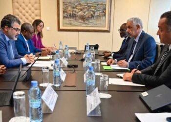 Dr. Ould Tah Leads AfDB’s Bold Drive to Reshape Africa’s Financial Future 7 Dr. Ould Tah Leads AfDB’s Bold Drive to Reshape Africa’s Financial Future