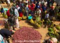 Support Informal Sector, Worth GHȻ 7.4B in 2024Q4 – GSS
