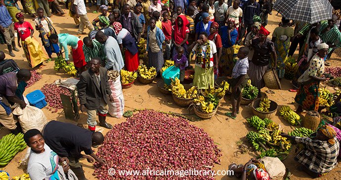 Support Informal Sector, Worth GHȻ 7.4B in 2024Q4 – GSS
