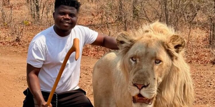 Wode Maya Recounts Terrifying Lion Encounter in Zimbabwe 1 Wode Maya