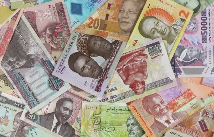 Ghana’s Cedi Emerges as the Calm in Africa’s Chaotic Currency Storm