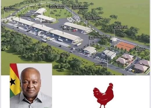 Agric Minister Sets One-Year Completion Timeline for Bechem Poultry Processing Plant 1 Artistic View of the Bechem Poultry Processing Plant