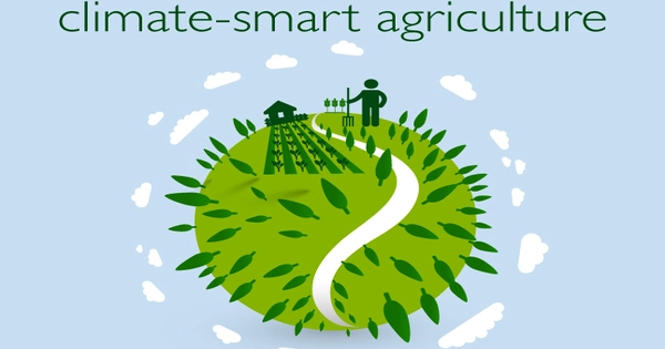 Climate smart Agriculture