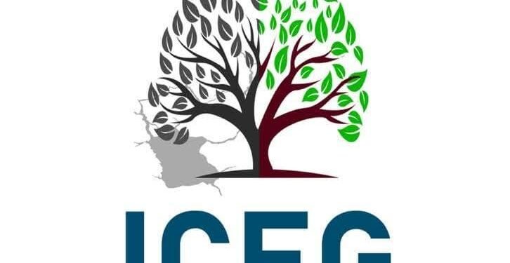 Institute of Climate and Environmental Governance