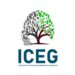 ICEG Warns 2026 Budget Falls Short on Lasting Energy Sector Reforms 13 Institute of Climate and Environmental Governance