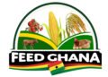 Feed Ghana Project