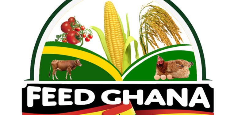 Feed Ghana Program to Support AETA, Ghanaians, and Industries 1 Feed Ghana Project