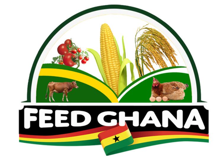Feed Ghana Program to Support AETA, Ghanaians, and Industries 1 Feed Ghana Project