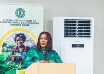 Dr. Mrs. Adelaide Siaw Agyepong, Chief Executive Officer, Africa Agribusiness Consortium