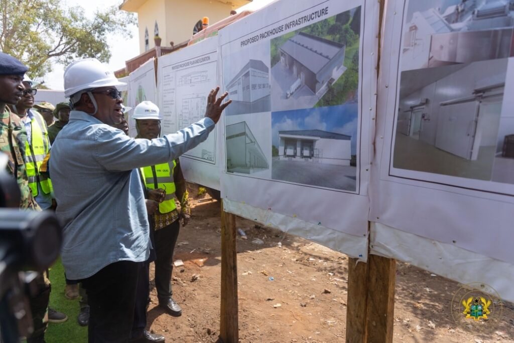 President Mahama @Vegetable Development Project 3