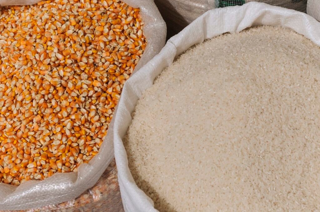IMANI Africa Demands Action as Food Glut Hits Ghana 3 Rice and Maize