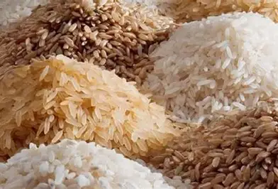 Manasseh Demands Presidential Action Over Food Glut 3 Rice