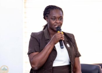 Professor Nana Ama Klutse, EPA CEO
