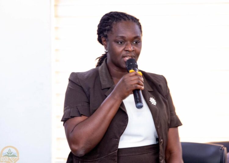 Galamsey: EPA Operations Ends 'Bloody' - CEO Recounts Ordeal 1 Professor Nana Ama Klutse, EPA CEO