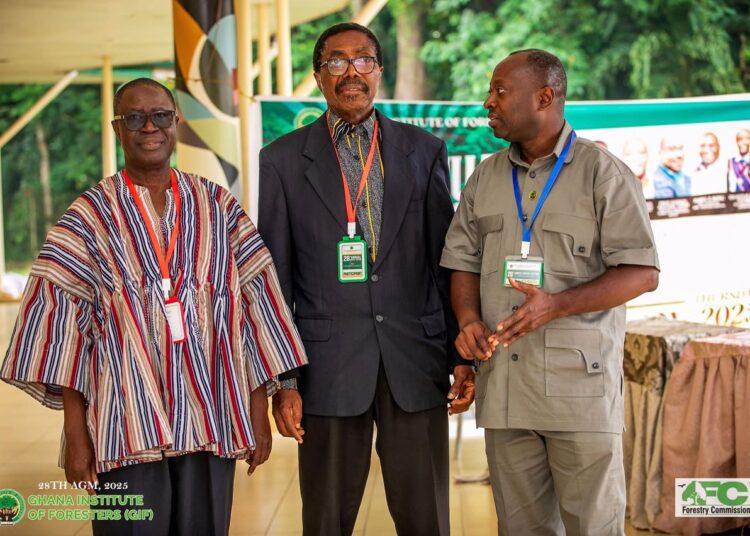 GIF Calls for Stronger Action Against Illegal Mining 1 GIF Senior Staff