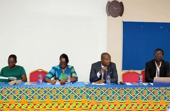 Energy Commission Engagement Panellists