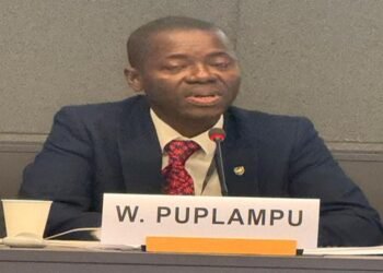 Ghana Positioning Itself to Lead Global Lithium Market - Minerals Commission 5 Mr. Wisdom Puplampu