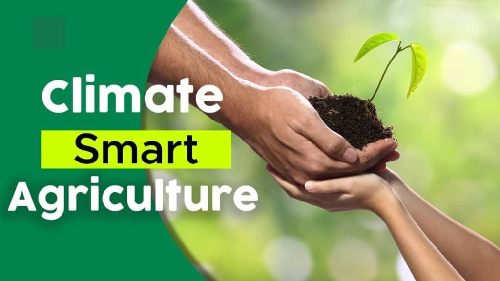 WhatsApp Image 2025 11 25 at 06.09.14