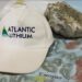 Atlantic Lithium Deal