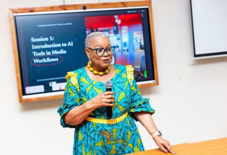 Former Chamber of Mines CEO Calls for Overhaul of Mining Industry 1 Rev. Dr. Joyce Aryee, Former CEO of Ghana Chamber of Mines