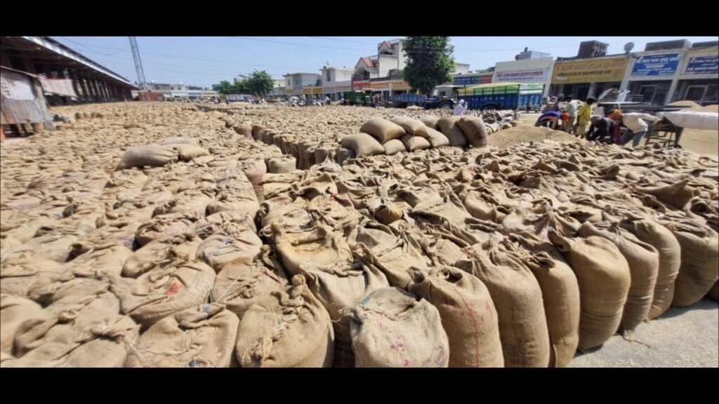 e1da451e 441b 11ed 93d4 1233adb273d2 1664912282817