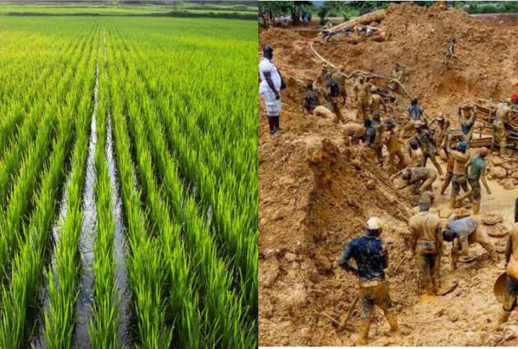 Galamsey Fears Trigger Urgent Soil Tests as MoFA–UNIDO Team Uncovers Hidden Threats in Bekwai Rice Fields