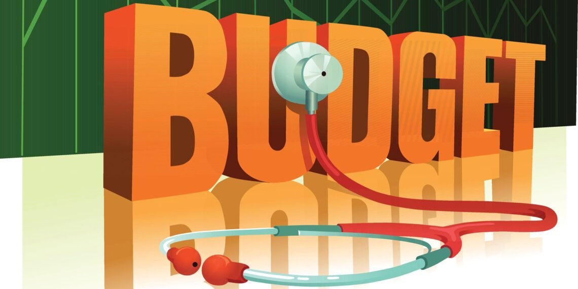 2026 Budget Faces Harsh Reality Check as IMF Reveals Ghana’s Massive Tax Gap 1 2026 Budget Faces Harsh Reality Check as IMF Reveals Ghana’s Massive Tax Gap