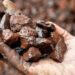 Ghana’s Iron Deposits Among World’s Best – Minerals Commission 11 high-grade iron deposits