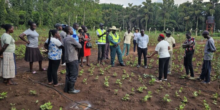 Ghana to Model New Era of Climate-Smart Agriculture Next Year 1 maxresdefault 1 1