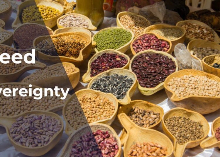 Ghana to Achieve Seed Sovereignty from 2026 – Agric Minister 1 maxresdefault 3