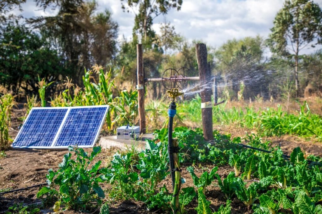 solar irrigation green