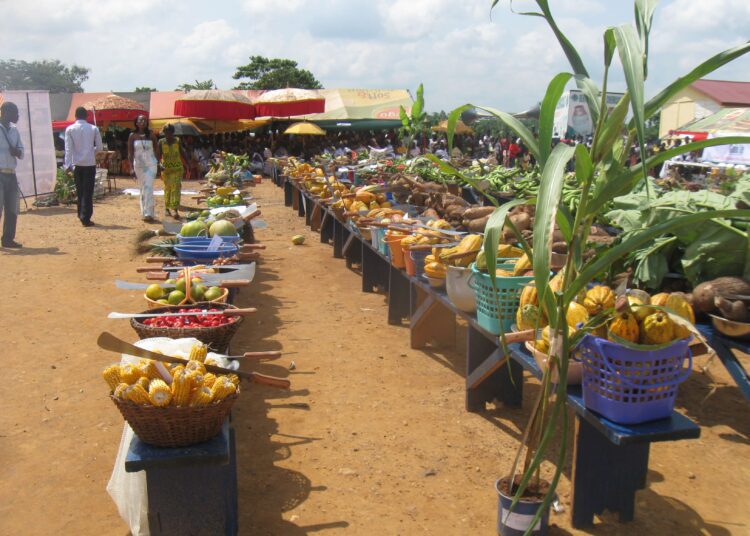 Credit Risk Sharing Has Failed to Unlock Agric Financing – Prof. Quartey 1 Credit Risk Sharing Has Failed to Unlock Agric Financing – Prof. Quartey