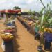 Credit Risk Sharing Has Failed to Unlock Agric Financing – Prof. Quartey