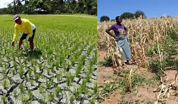 Ghana Activates Climate Insurance as ARC Payout Targets Drought-Ravaged Food Belt