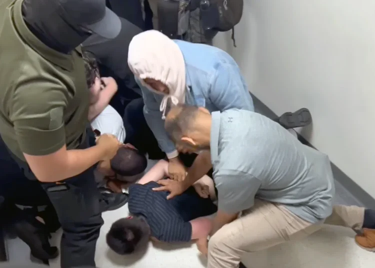 ICE Intensifies Afghan Arrests Following National Guard Shooting, Families Live in Fear 1 ICE Intensifies Afghan Arrests Following National Guard Shooting, Families Live in Fear