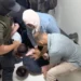 ICE Intensifies Afghan Arrests Following National Guard Shooting, Families Live in Fear