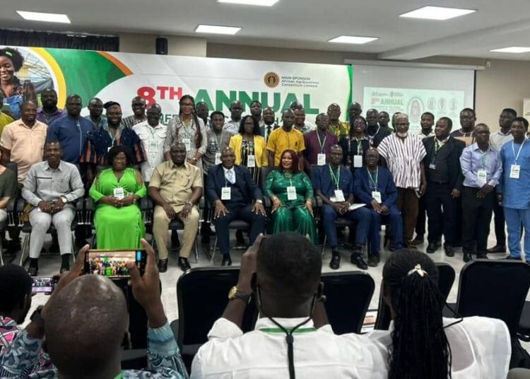 Ghana’s US$3bn Food Import Crisis Sparks Urgent Agribusiness Overhaul