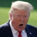 “Rotten Apple!”- Trump Explodes After Marjorie Taylor Greene’s 60 Minutes Bombshell