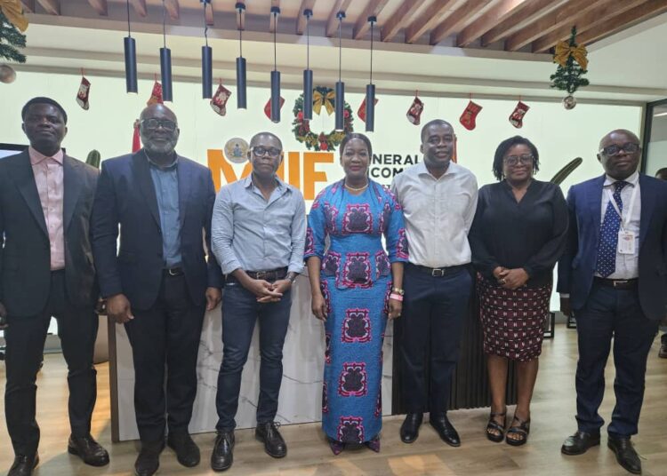 Gold Fields, MIIF Engage on Investment and Strategic Collaboration 1 Goldfields story